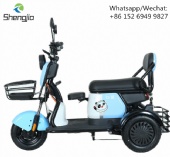 New adult household leisure scooter for the elderly small three-wheel battery car source factory electric tricycle