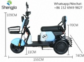 New adult household leisure scooter for the elderly small three-wheel battery car source factory electric tricycle