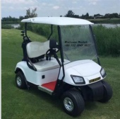 Factory direct sales 2 golf cart powerful 4 wheel electric golf cart