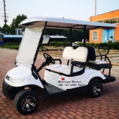 China Electric Car Manufacturer Sightseeing Car Patrol Car Golf Cartory Direct Selling Golf Cart