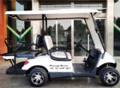 China Electric Car Manufacturer Sightseeing Car Patrol Car Golf Cartory Direct Selling Golf Cart