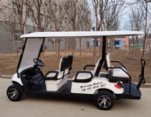 Super Luxury 48V 5kw Kds AC Motor and Aluminum Alloy Chassis Golf Cart