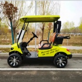 Factory direct sales 2 seats golf cart powerful 4 wheel electric golf cart