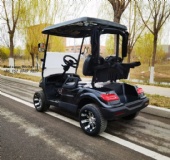 2024 new factory direct sales 2-seater new golf cart powerful 4-wheel electric golf cart