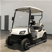 Customizable 2-Seater Latest Model Electric Golf Cart