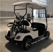 Customizable 2-Seater Latest Model Electric Golf Cart