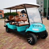 2024 factory direct sales ultra-luxury aluminum alloy chassis golf cart