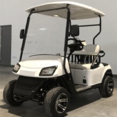 Customizable 2-Seater Latest Model Electric Golf Cart for sale