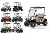 New affordable off-road 2-seater luxury sightseeing car electric golf cart