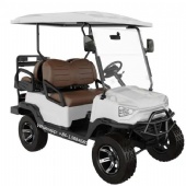 2024 China New Design Park Scenic Area Electric Golf Cart