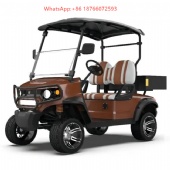 High Power off-Road Golf Cart Street Legal 2 Passenger Electric Golf Cart