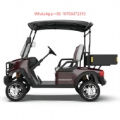 High Power off-Road Golf Cart Street Legal 2 Passenger Electric Golf Cart