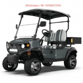 High Power off-Road Golf Cart Street Legal 2 Passenger Electric Golf Cart