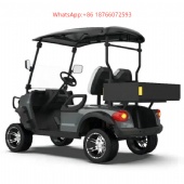 High Power off-Road Golf Cart Street Legal 2 Passenger Electric Golf Cart