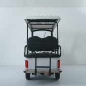 Easy-to-drive electric buggy cart