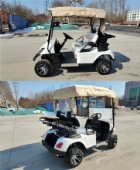 Specially customized golf cart with on-board ball washer and stem washer with refrigerator 2-seat electric golf cart