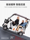 lead battery New mini bus electric four-wheel mobility scooter E6 Pick up children scenic sightseeing small household electric vehicle with shed