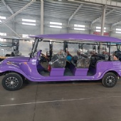 Customizable 8-14-Seater Electric Sightseeing Car, Retro Car, Electric Classic Car